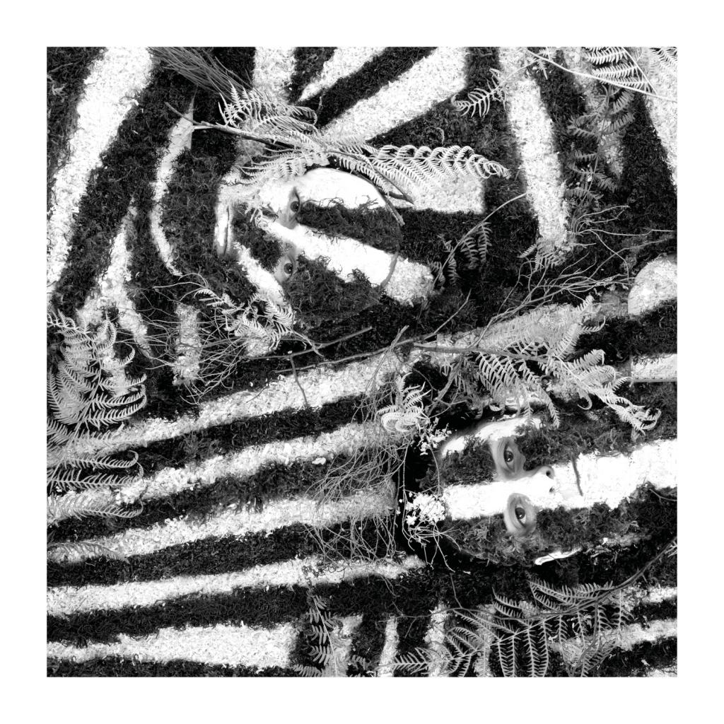 Razzle Dazzle Ferarock